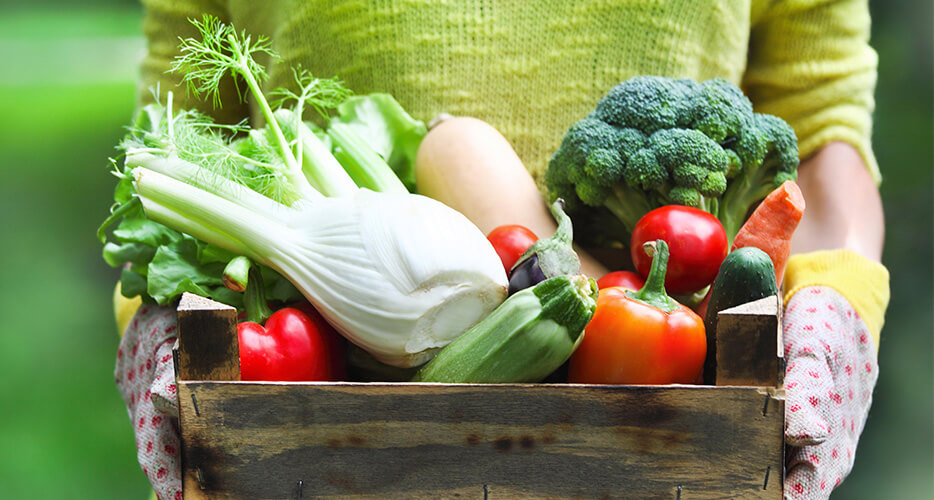 Better for you: the benefits and properties of fruits and vegetables